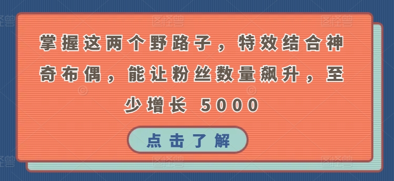 掌握这两个野路子，特效结合神奇布偶，能让粉丝数量飙升，至少增长 5000【揭秘】-一起网赚吧
