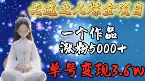 天选之人炼金项目，一个作品涨粉5000+，单号变现3.6w【揭秘】-一起网赚吧