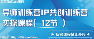 导师训练营3.0IP共创训练营私密实操课程（12节）-卖项目的密码成功秘诀【揭秘】-一起网赚吧