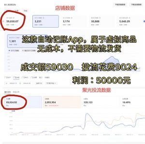 小红书蓝海小众项目，自动记账快捷指令，实操月入50000+【揭秘】-一起网赚吧