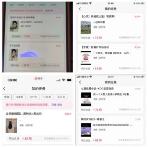 2024年3月最新，快手磁力聚星全流程实操教学，8台手机日均收益稳定100~200元【揭秘】-一起网赚吧