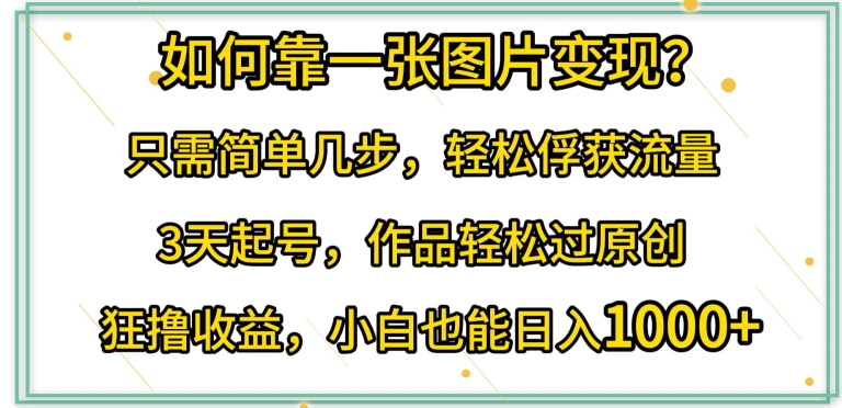 如何靠一张图片变现?只需简单几步，轻松俘获流量，3天起号，作品轻松过原创【揭秘】-一起网赚吧