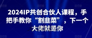2024IP共创合伙人课程，手把手教你“割韭菜”，下一个大佬就是你-一起网赚吧