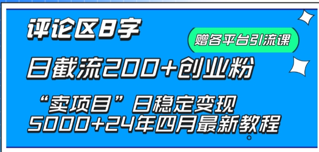 抖音评论区8字日截流200+创业粉 “卖项目”日稳定变现5000+【揭秘】-一起网赚吧