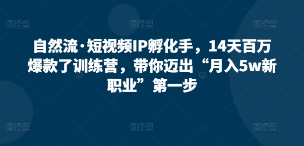 自然流·短视频IP孵化手，14天百万爆款了训练营，带你迈出“月入5w新职业”第一步-一起网赚吧