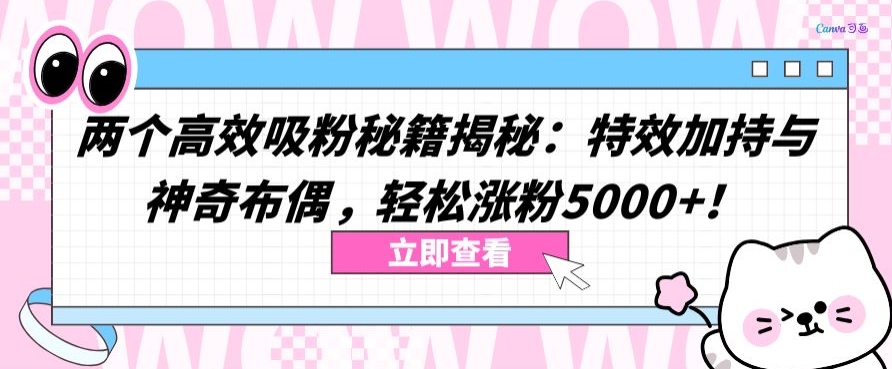 两个高效吸粉秘籍揭秘：特效加持与神奇布偶，轻松涨粉5000+【揭秘】-一起网赚吧