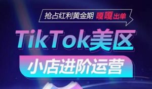 TikTok Shop美区小店进阶运营，抢占红利黄金期 嘎嘎出单-一起网赚吧