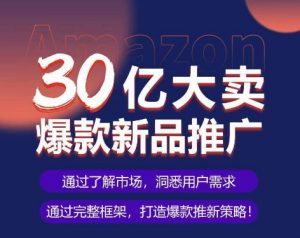 亚马逊·30亿大卖爆款新品推广，可复制、全程案例实操的爆款推新SOP-一起网赚吧