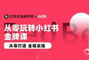 王导主·小红书电商运营实操课，​从零打造  全程实操-一起网赚吧
