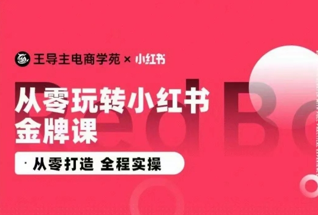 王导主·小红书电商运营实操课，​从零打造  全程实操-一起网赚吧