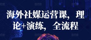 海外社媒运营课，理论+演练，全流程-一起网赚吧