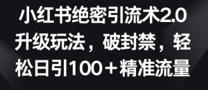 小红书绝密引流术2.0升级玩法,破封禁,轻松日引100+精准流量【揭秘】-一起网赚吧