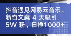 抖音遇见网易云音乐，新奇文案 4 天吸引 5W 粉，日挣1000+【揭秘】-一起网赚吧