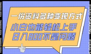 一份资料多种变现方式，小白也能轻松上手，日入800不是问题【揭秘】-一起网赚吧