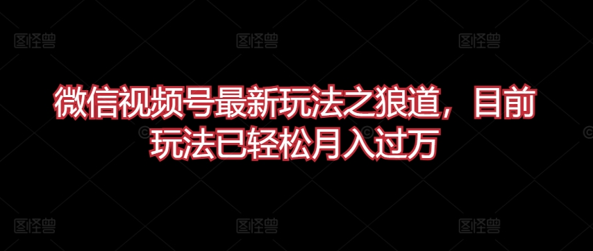微信视频号最新玩法之狼道，目前玩法已轻松月入过万【揭秘】-一起网赚吧