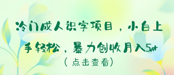 冷门成人识字项目，小白上手轻松，暴力创收月入5w+【揭秘】-一起网赚吧