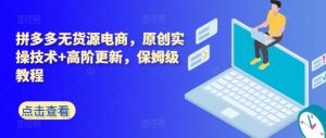 拼多多无货源电商，原创实操技术+高阶更新，保姆级教程-一起网赚吧