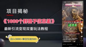 一千个野路子信息差最新玩法教程-变现+引流的玩法具体拆解【揭秘】-一起网赚吧