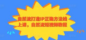自然流打造IP正确方法线上课，自然流短视频教程-一起网赚吧