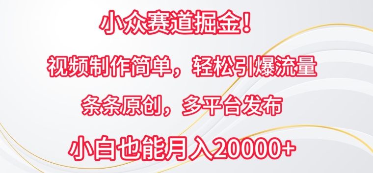 小众赛道掘金，视频制作简单，轻松引爆流量，条条原创，多平台发布【揭秘】-一起网赚吧