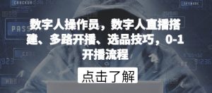 数字人操作员，数字人直播搭建、多路开播、选品技巧，0-1开播流程-一起网赚吧