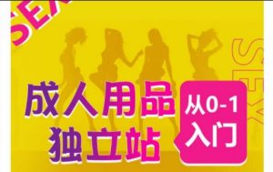 成人用品独立站从0-1入门,成品独立站运营全流程教学,七大好卖成品独立站推荐-一起网赚吧