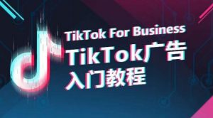 TikTok广告入门教程,从0到1掌握TikTok投放的全流程-一起网赚吧