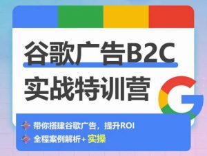 谷歌广告B2C实战特训营，500+谷歌账户总结经验，实战演示如何从0-1搭建广告账户-一起网赚吧