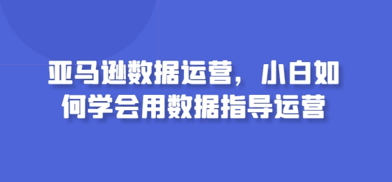 亚马逊数据运营，小白如何学会用数据指导运营-一起网赚吧