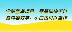 全新蓝海项目，零基础快手付费内容教学，小白也可以操作【揭秘】-一起网赚吧