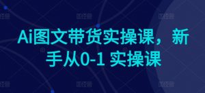 Ai图文带货实操课，新手从0-1 实操课-一起网赚吧