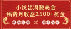 小说出海赚美金，稿费月收益2500+美金，仅需chatgpt粘贴复制，新手也能玩转【揭秘】-一起网赚吧