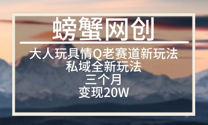 大人玩具情Q用品赛道私域全新玩法，三个月变现20W，老项目新思路【揭秘】-一起网赚吧