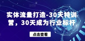 实体流量打造-30天特训营，30天成为行业标杆-一起网赚吧