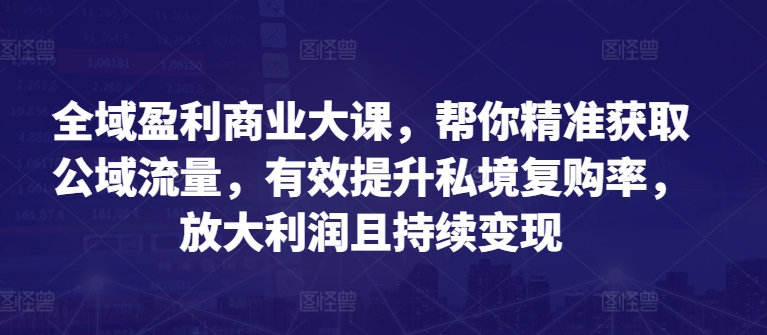 全域盈利商业大课，帮你精准获取公域流量，有效提升私境复购率，放大利润且持续变现-一起网赚吧