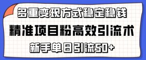 精准项目粉高效引流术，新手单日引流50+，多重变现方式稳定赚钱【揭秘】-一起网赚吧