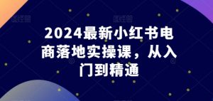 2024最新小红书电商落地实操课，从入门到精通-一起网赚吧