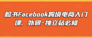 脸书Facebook跨境电商入门课，外贸·独立站必修-一起网赚吧
