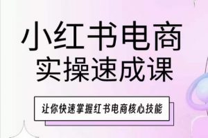 小红书电商实操速成课，让你快速掌握红书电商核心技能-一起网赚吧
