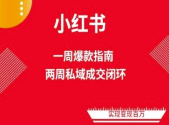 爆款小红书免费流量体系课程(两周变现)，小红书电商教程-一起网赚吧