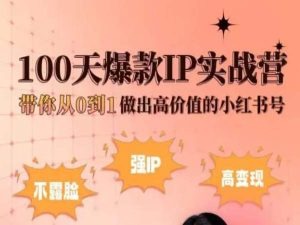 小红书100天爆款IP实战营，带你从0到1做出高价值的小红书号-一起网赚吧
