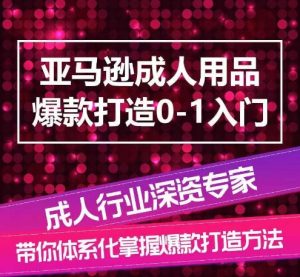 亚马逊成人用品爆款打造0-1入门，系统化讲解亚马逊成人用品爆款打造的流程-一起网赚吧