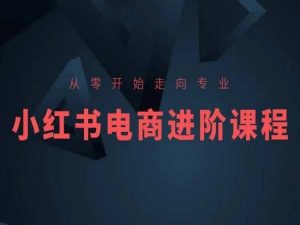 从零开始走向专业，小红书电商进阶课程-一起网赚吧