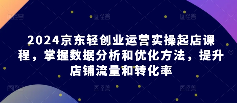 2024京东轻创业运营实操起店课程，掌握数据分析和优化方法，提升店铺流量和转化率-一起网赚吧