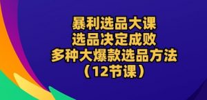 暴利选品大课：选品决定成败，教你多种大爆款选品方法(12节课)-一起网赚吧
