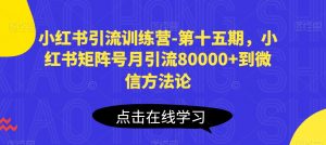 小红书引流训练营-第十五期,小红书矩阵号月引流80000+到微信方法论-一起网赚吧