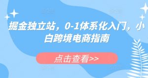 掘金独立站,0-1体系化入门,小白跨境电商指南-一起网赚吧