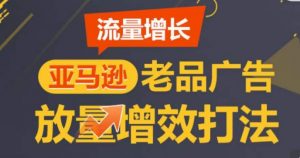 亚马逊流量增长-老品广告放量增效打法，循序渐进，打造更多TOP listing​-一起网赚吧