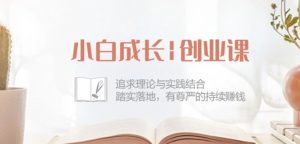 小白成长创业课：追求理论与实践结合，踏实落地，有尊严的持续赚钱-42节-一起网赚吧