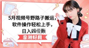 5月视频号野路子搬运，软件操作轻松上手，日入三位数【揭秘】-一起网赚吧